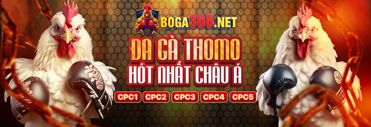 Đá gà trực tuyến 188cm APK