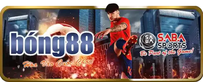 Các loại kèo cược đá gà phổ biến